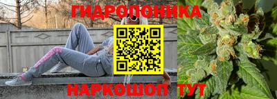 ешки Ставрополь