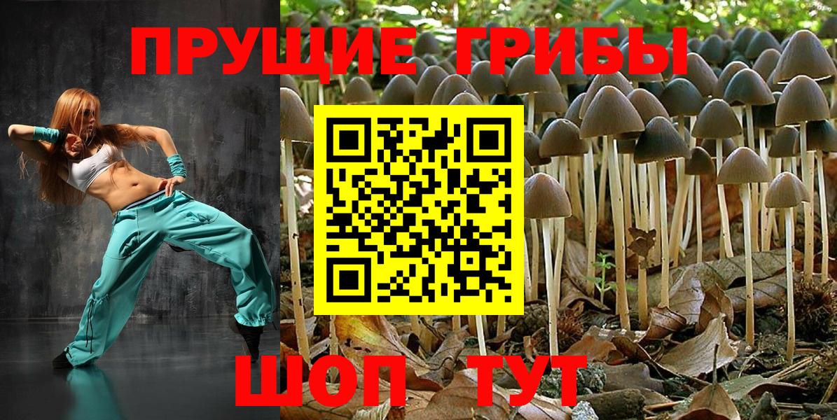 Галлюциногенные грибы мухоморы Мытищи